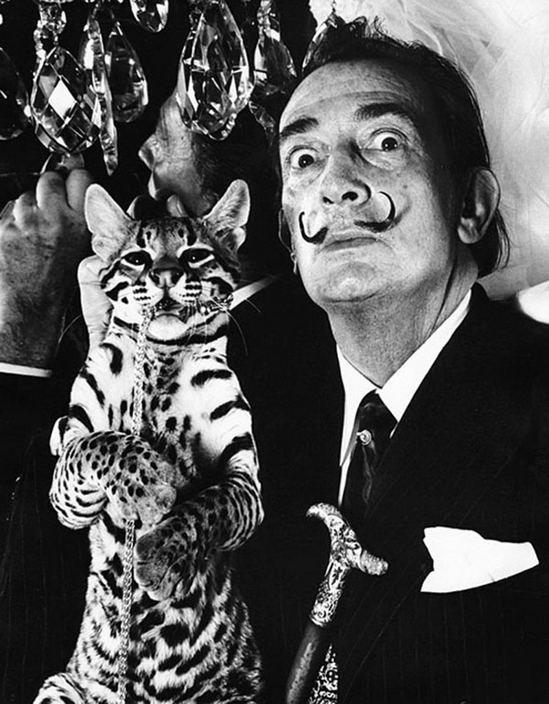 Salvador dali l ocelot. Оцелот Сальвадора дали. Сальвадор дали с муравьедом. Питомец Сальвадора дали. Сальвадор дали с котом.