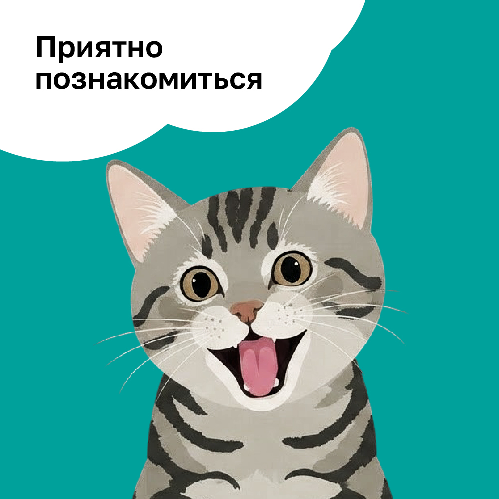 Пришло время познакомиться с нашими котятами поближе