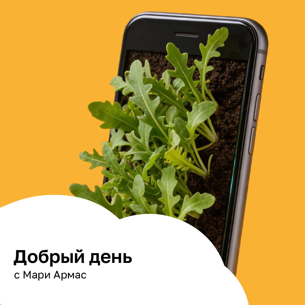 Добрый день с Мари Армас