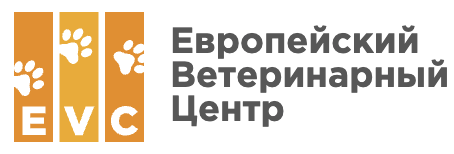 Снимок экрана — 2026-08-13 в 21.24.34.png