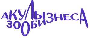 Снимок экрана — 2026-08-13 в 21.33.42.png