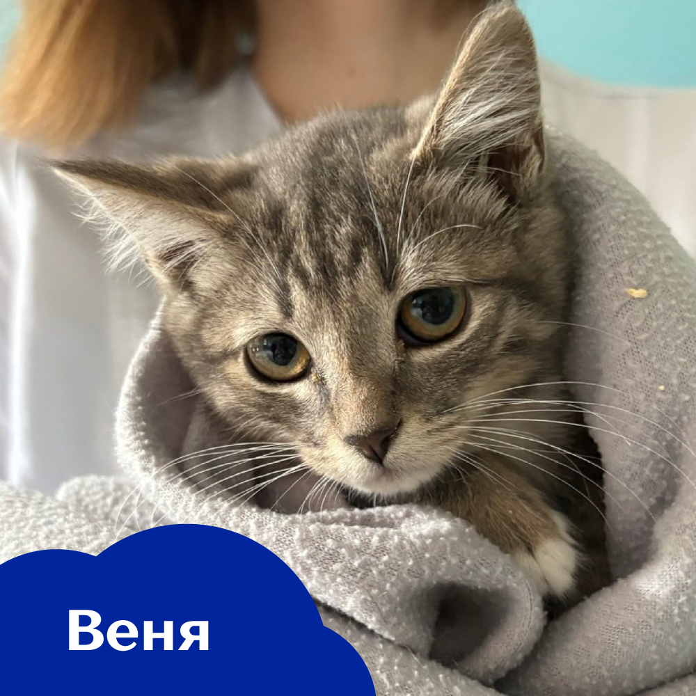 Веня.png